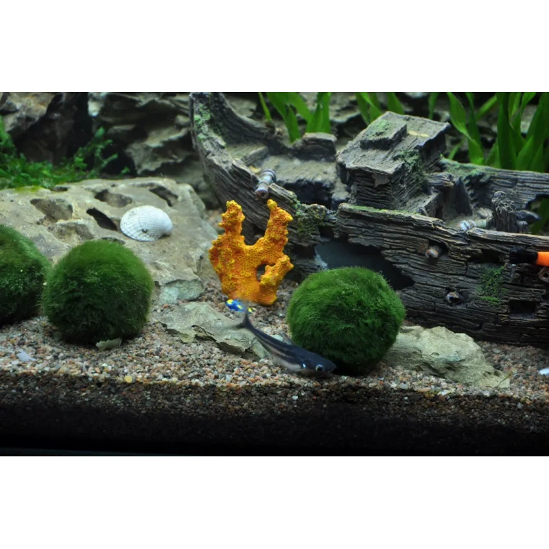 6546-5-1-1-4.jpg.webp 6546-5-1-1-4.jpg.webp