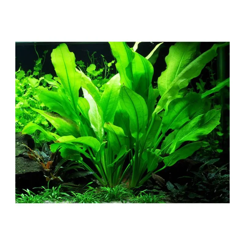 6659-3-20-108.jpg.webp 6659-3-20-108.jpg.webp