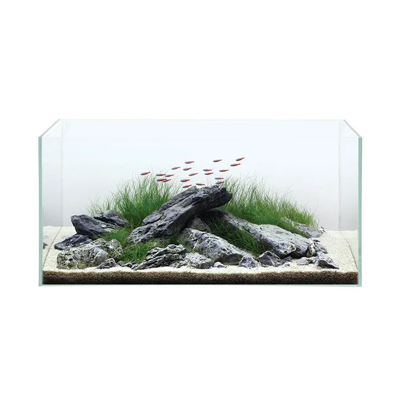 7076-plant-tank-opti-clear-10-3.jpg.webp