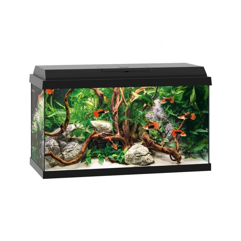 akvaarium-primo-led-60-l.jpg
