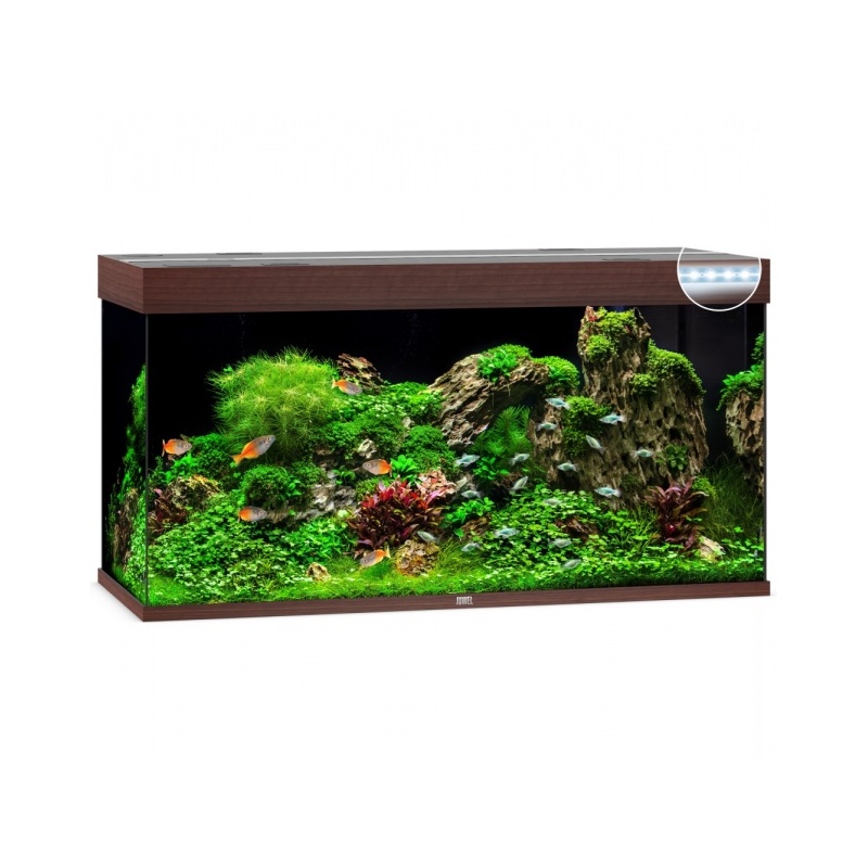 akvaarium-rio-led-350-l-.jpg