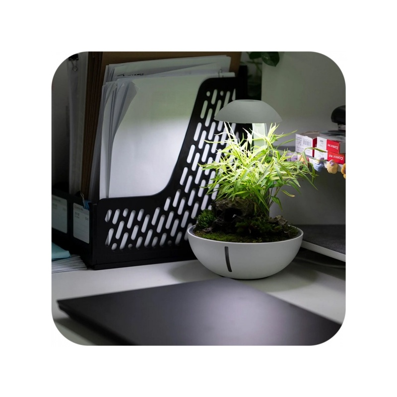 chihiros-tiny-terrarium-3.jpg