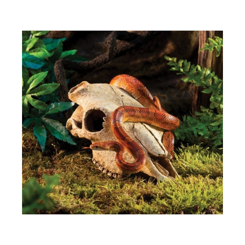 exo-terra-buffalo-skull-3.jpg