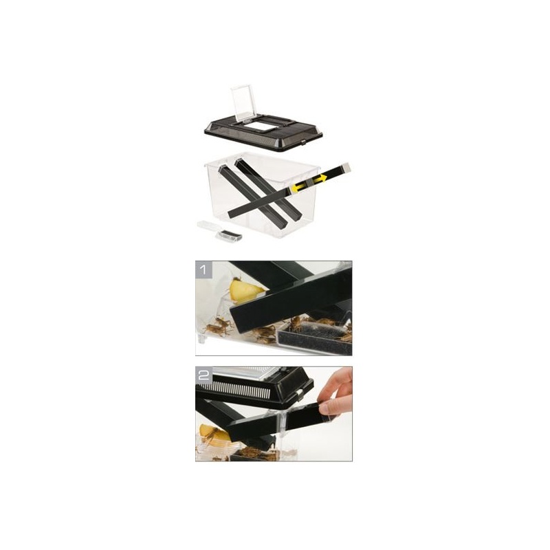 exo-terra-cricket-pen-s-1.jpg
