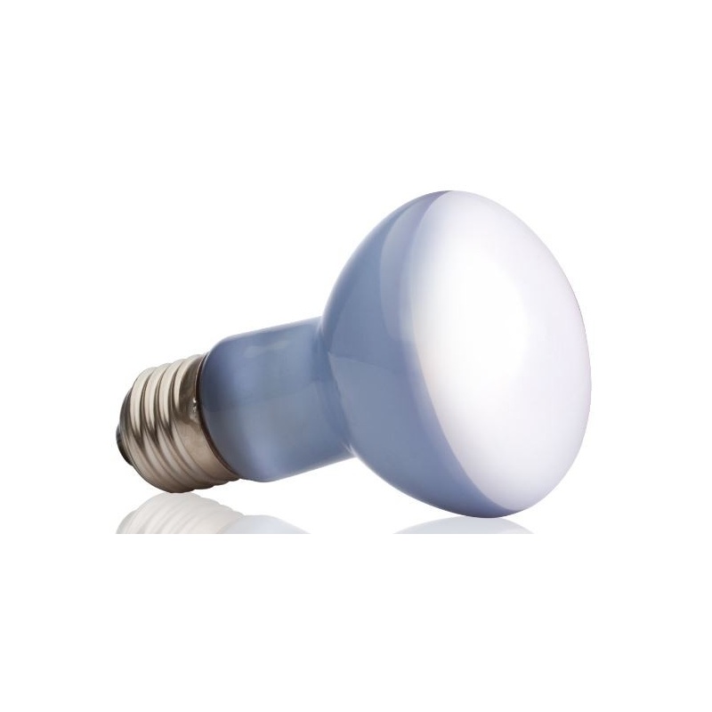 exo-terra-daylight-25w-z-1.jpg