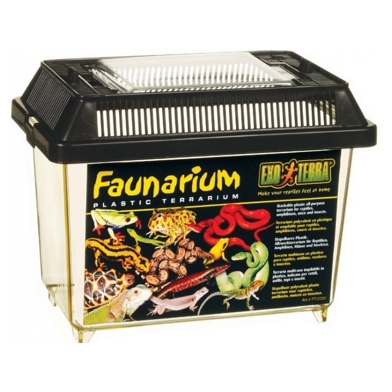 exo-terra-faunarium-terr-4.jpg