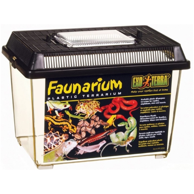 exo-terra-faunarium-terr-5.jpg