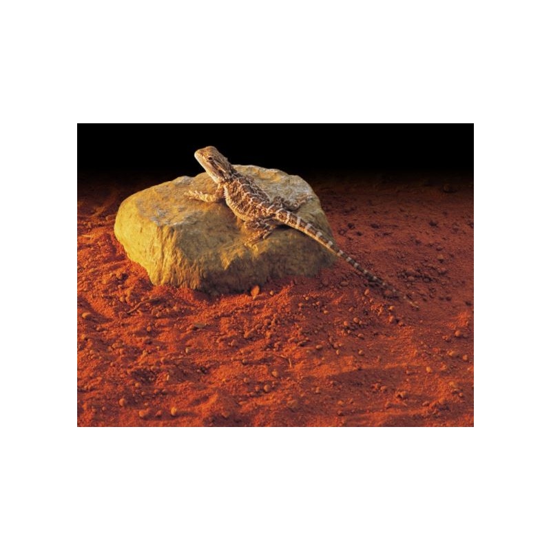 exo-terra-heat-wave-rock-3.jpg