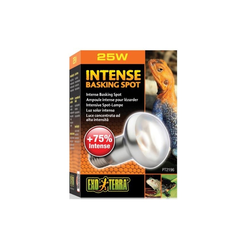 exo-terra-intense-baskin-1.jpg