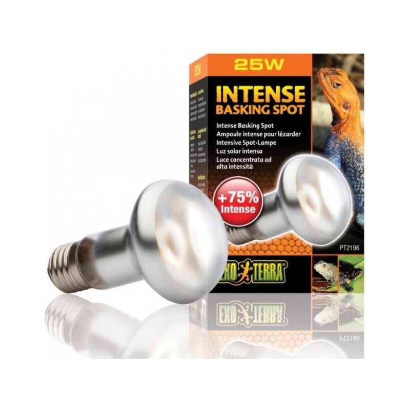 exo-terra-intense-baskin.jpg