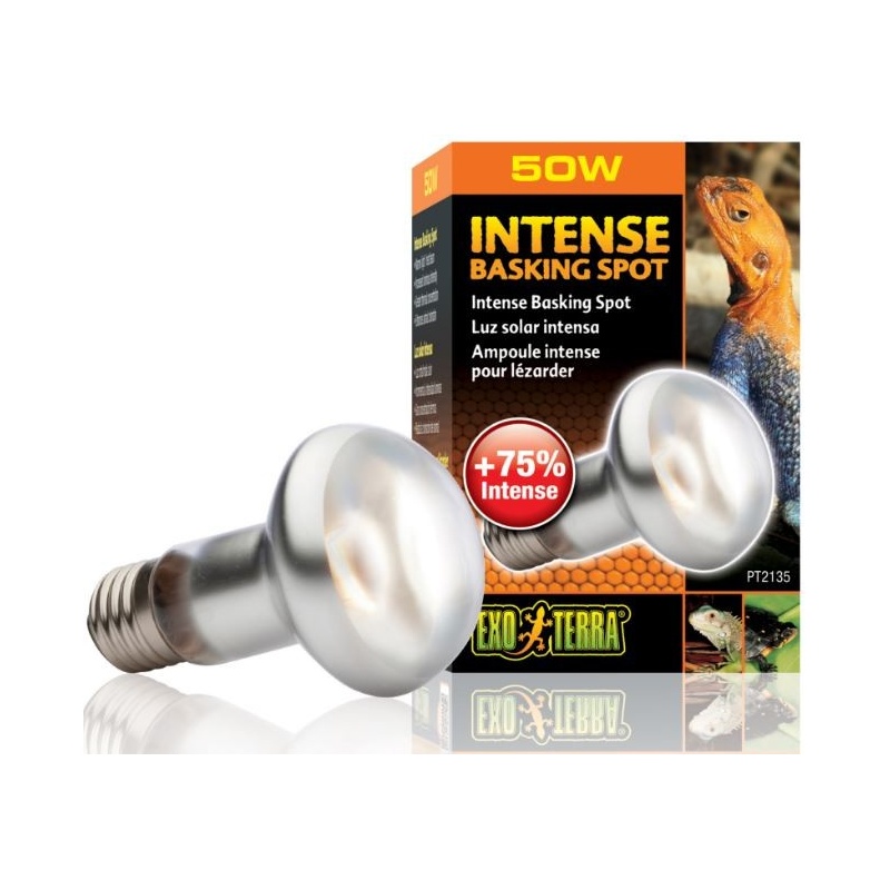 exo-terra-intense-baskin-5.jpg