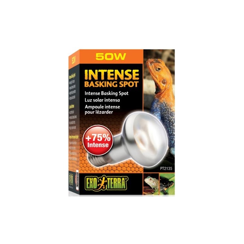 exo-terra-intense-baskin-7.jpg