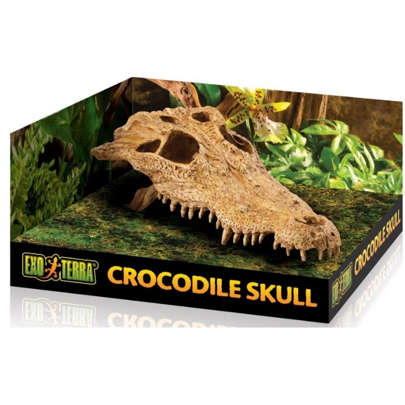 exo-terra-crocodile-skul.jpg