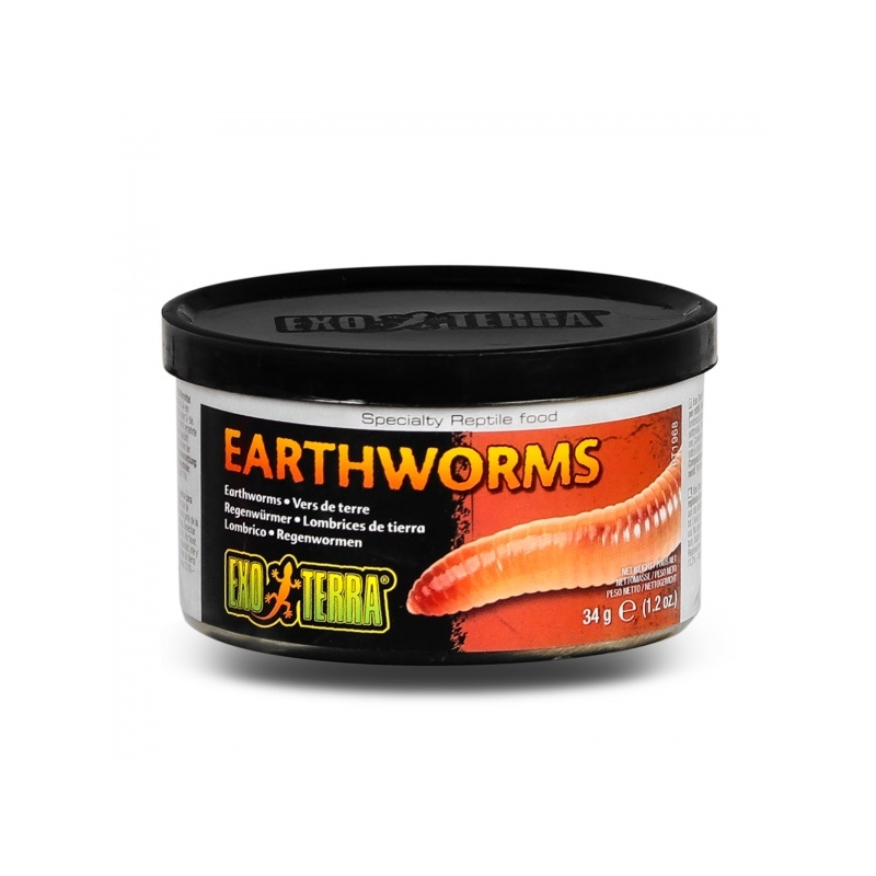 exo-terra-grasshoppers-p-4.jpg