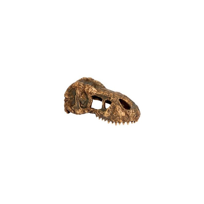 exo-terra-t-rex-skull-cz-1.jpg