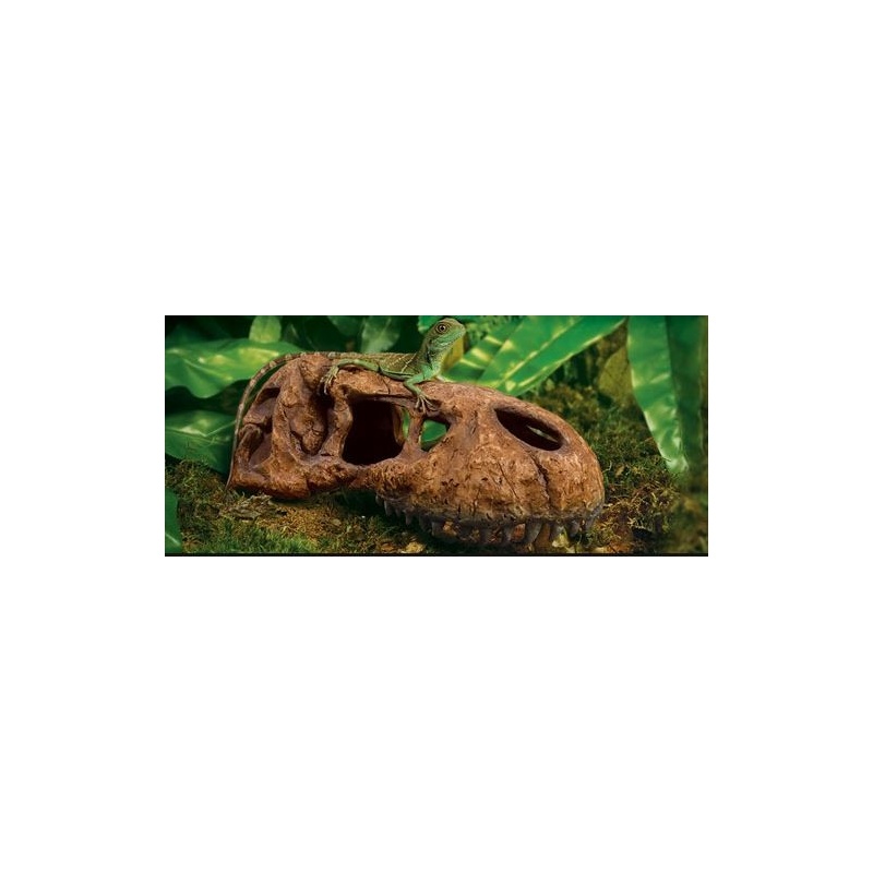 exo-terra-t-rex-skull-cz-3.jpg