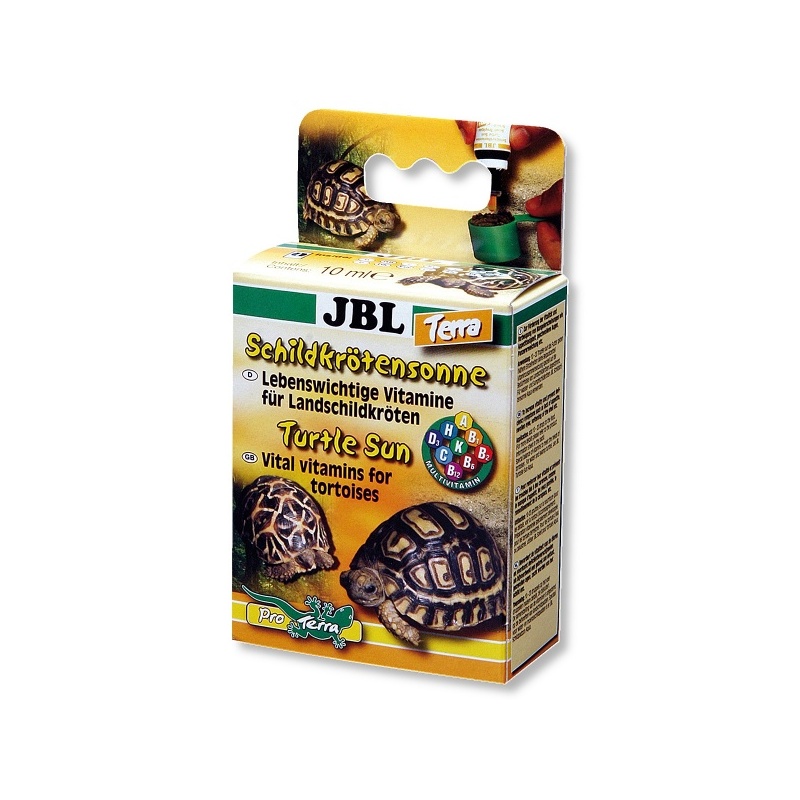 jbl-schildkroetensonne-t-2.jpg