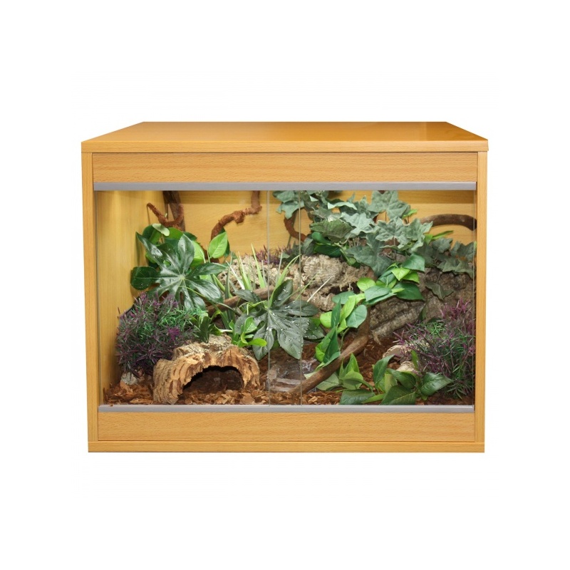 komodo-ecology-home-terr.jpg