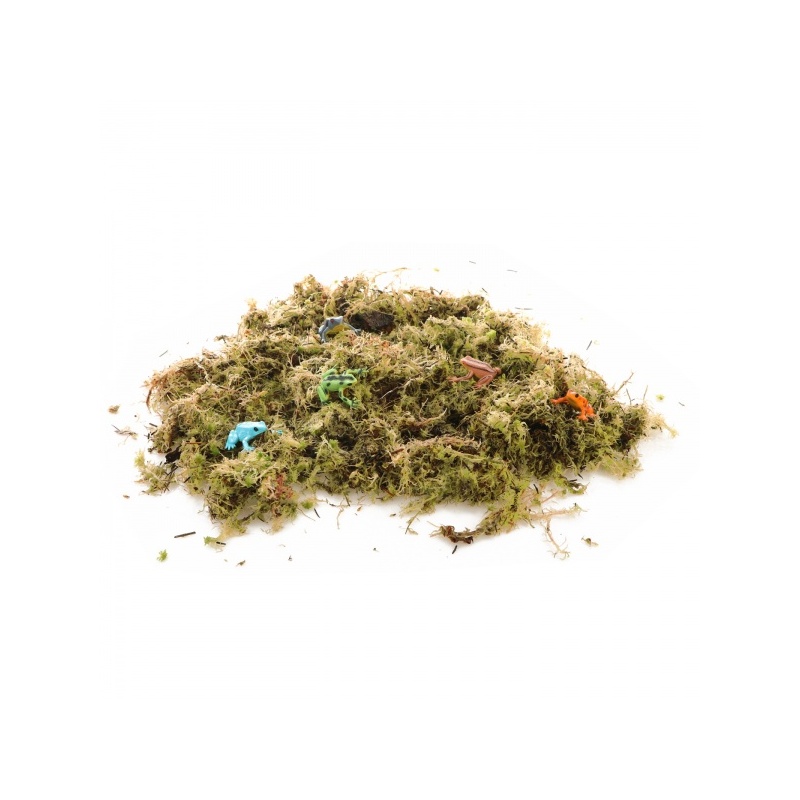 komodo-habitat-moss-3l-z-1.jpg