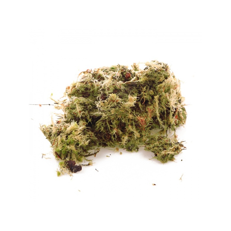 komodo-habitat-moss-3l-z-2.jpg