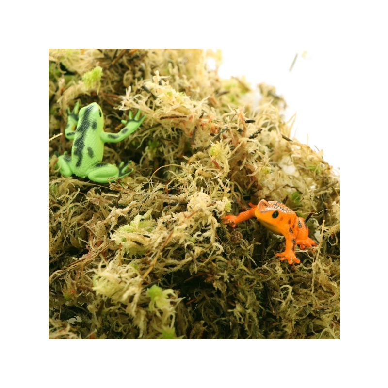 komodo-habitat-moss-3l-z-3.jpg