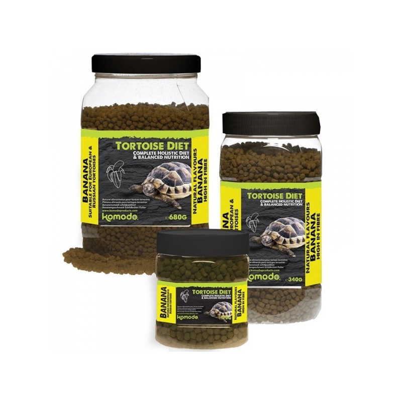 komodo-tortoise-diet-ban-14.jpg