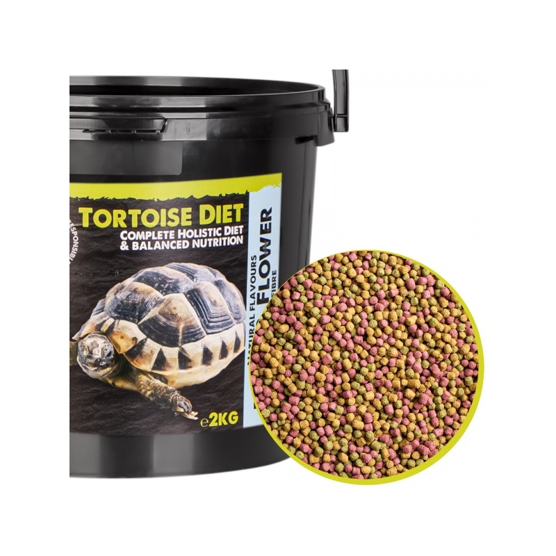 komodo-tortoise-diet-fru-5.jpg