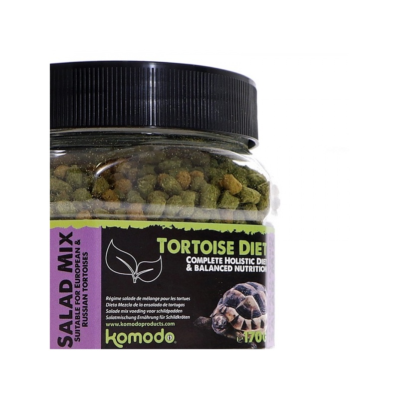 komodo-tortoise-diet-sal-15.jpg