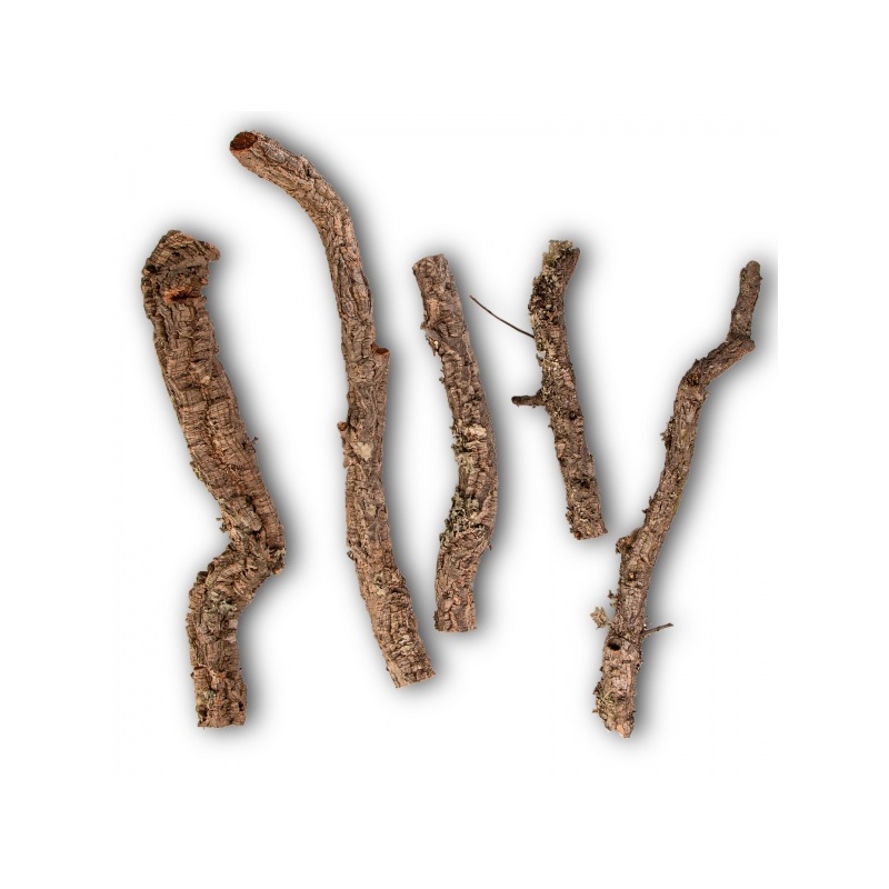 drzewko-z-debu-korkowego-31.jpg