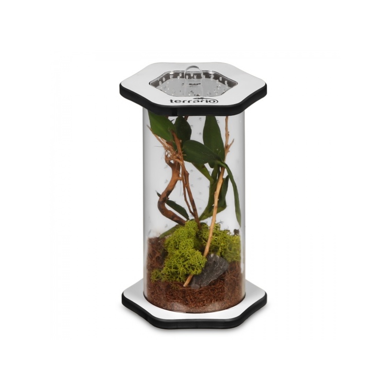 terrario-spiders-tube-bi-35.jpg