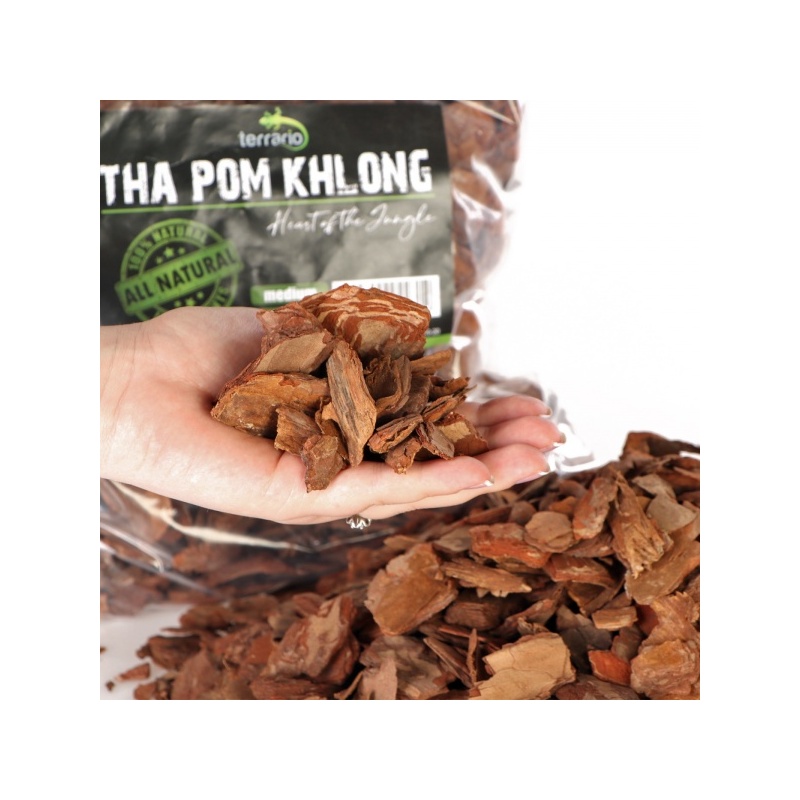 terrario-tha-pom-khlong-6.jpg