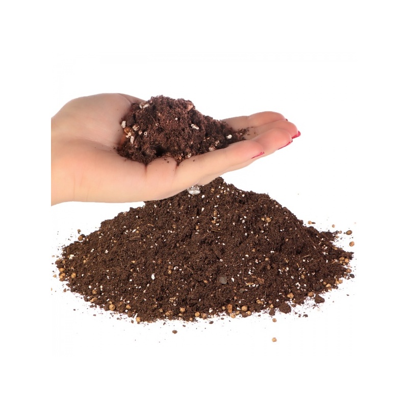 terrario-supai-oya-soil-2.jpg terrario-supai-oya-soil-2.jpg