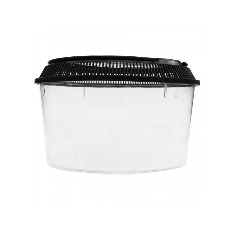 terrario-transportbox-fa-1.jpg
