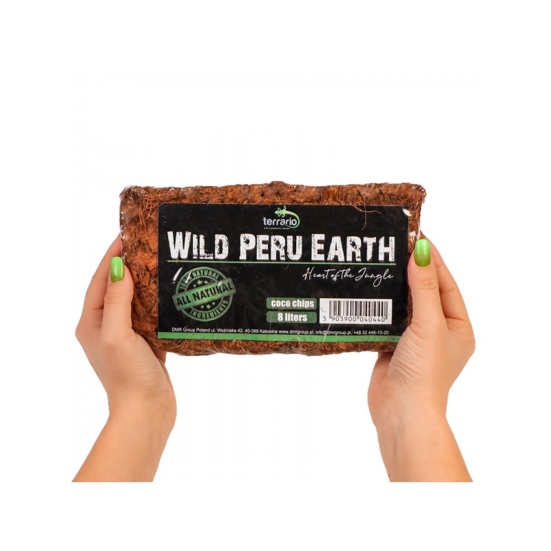 terrario-wild-peru-earth-2.jpg