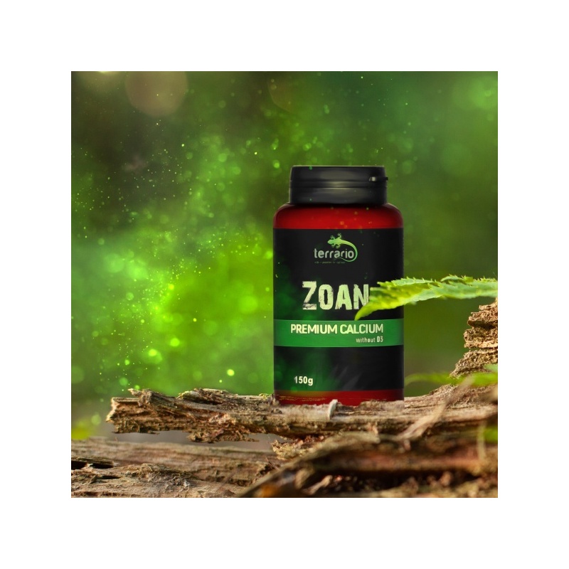 terrario-bozza-calcium-w-31.jpg