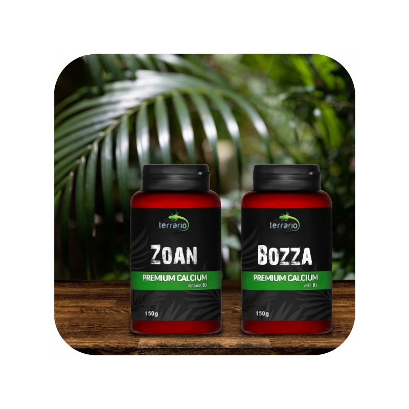 terrario-bozza-calcium-w-32.jpg