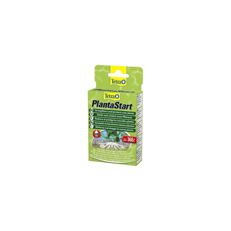 tetra-planta-start-12-146839-47600-400x350.jpg