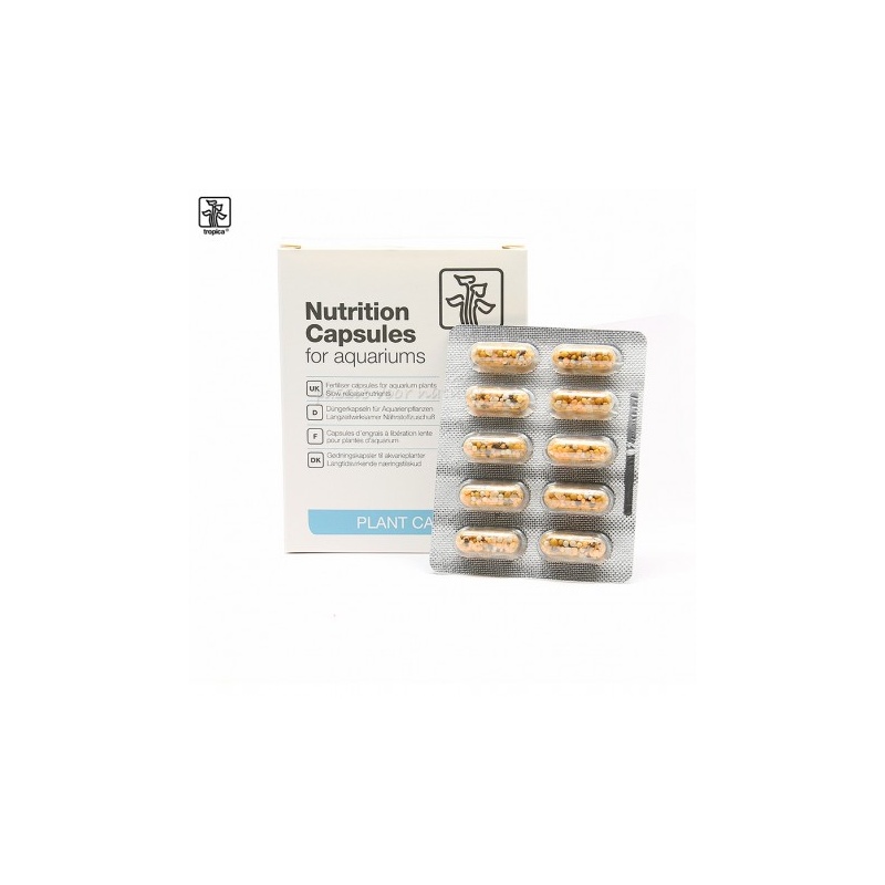 nutrition-capsules.jpg