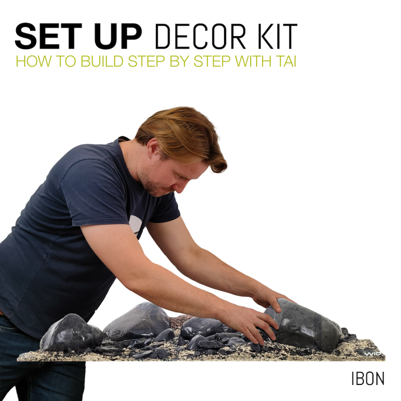 71140003-11769-63b18eb2a35d44-35020772-wio-kits-portadas-videos-ibon-png-1.png