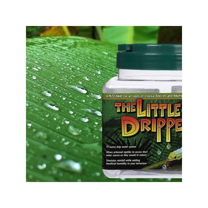 zoomed-little-dripper-na-2.jpg