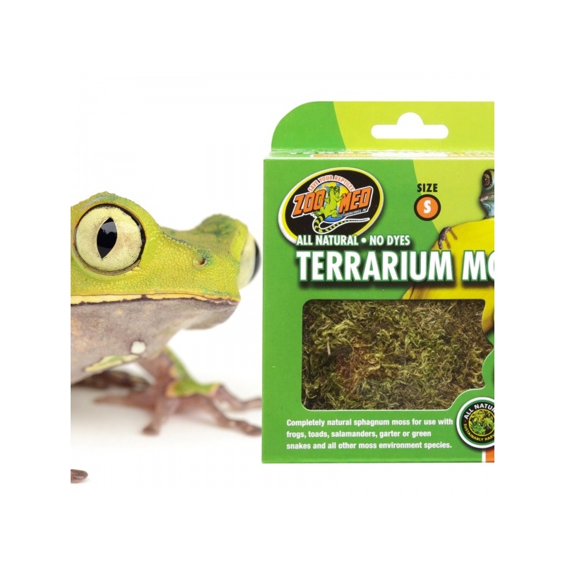zoomed-terrarium-moss-16-2.jpg