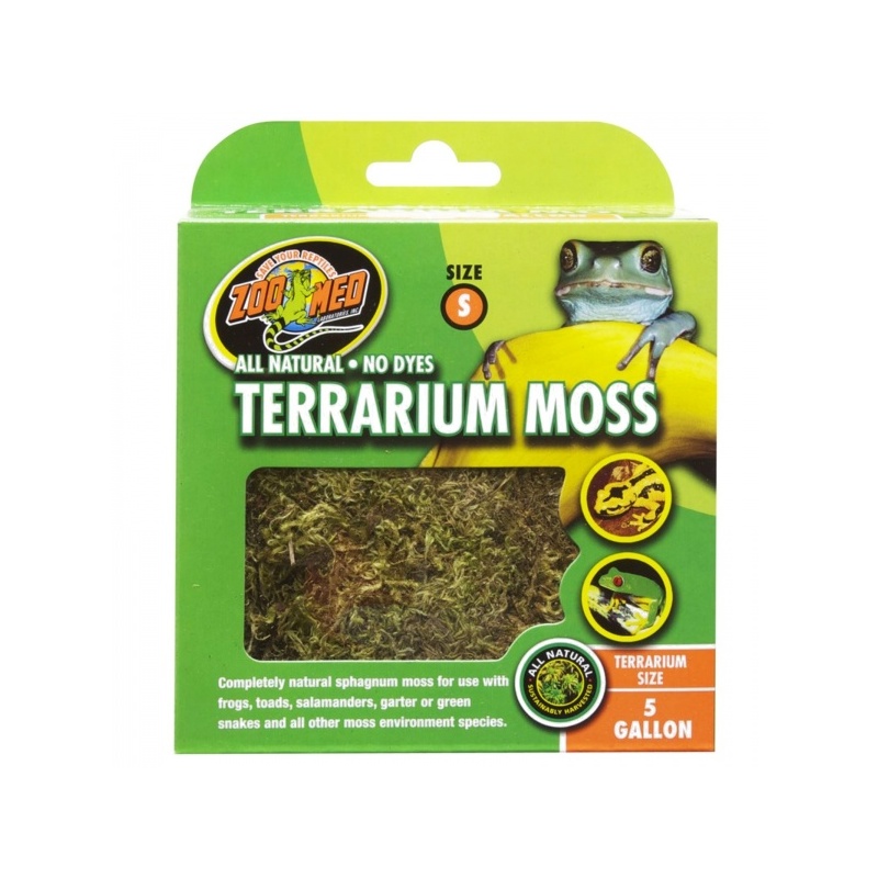 zoomed-terrarium-moss-16.jpg