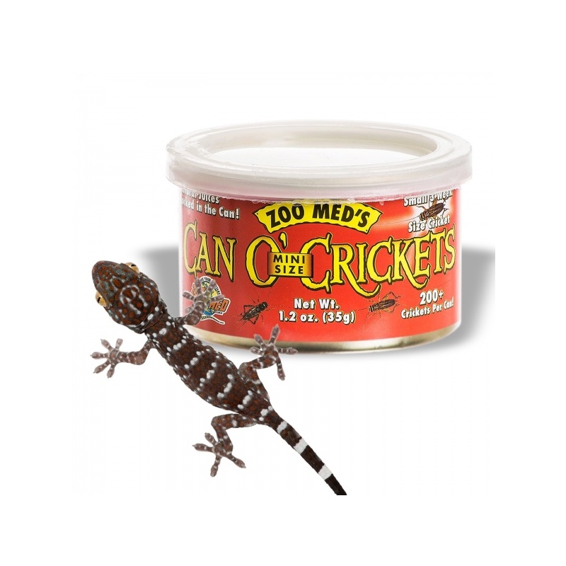 zoomed-can-o-crickets-po-6.jpg