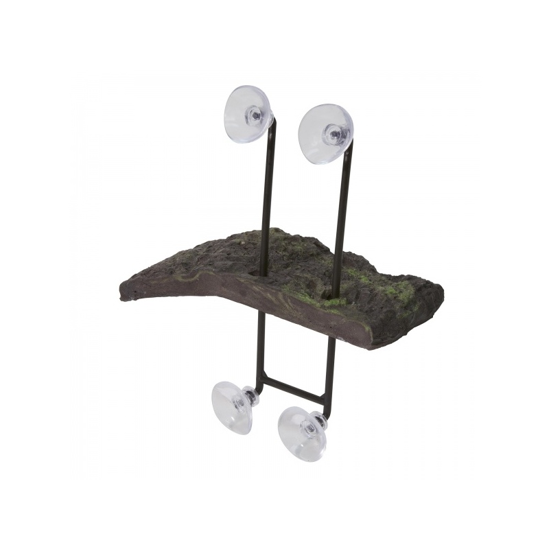 zoomed-turtle-dock-duza-8.jpg
