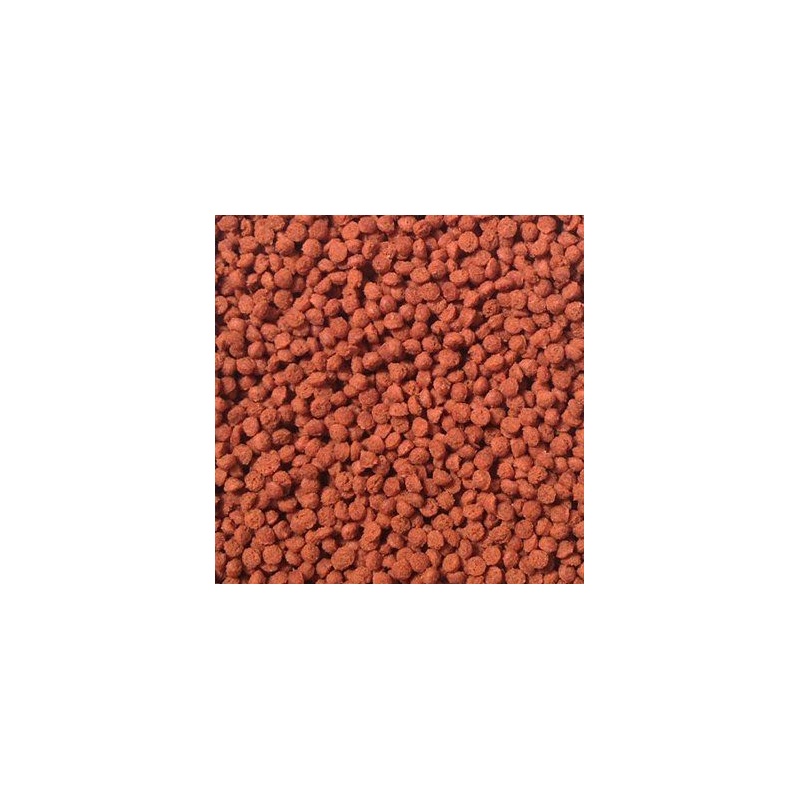 83331-T7zADDuyNMfR-jpg-246.jpg