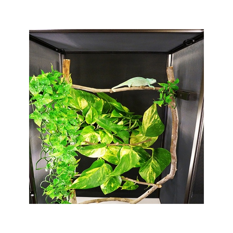 repti-zoo-terrarium-z-al-28.jpg