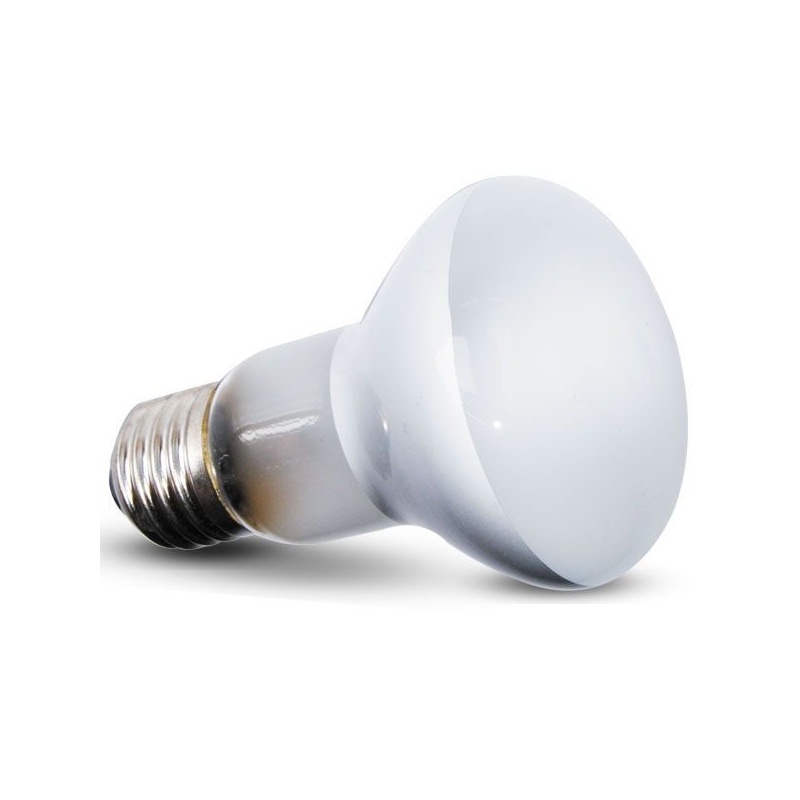 repti-zoo-beam-spot-50w-5.jpg