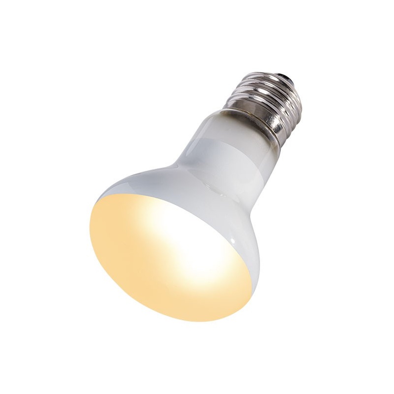 repti-zoo-beam-spot-50w-6.jpg