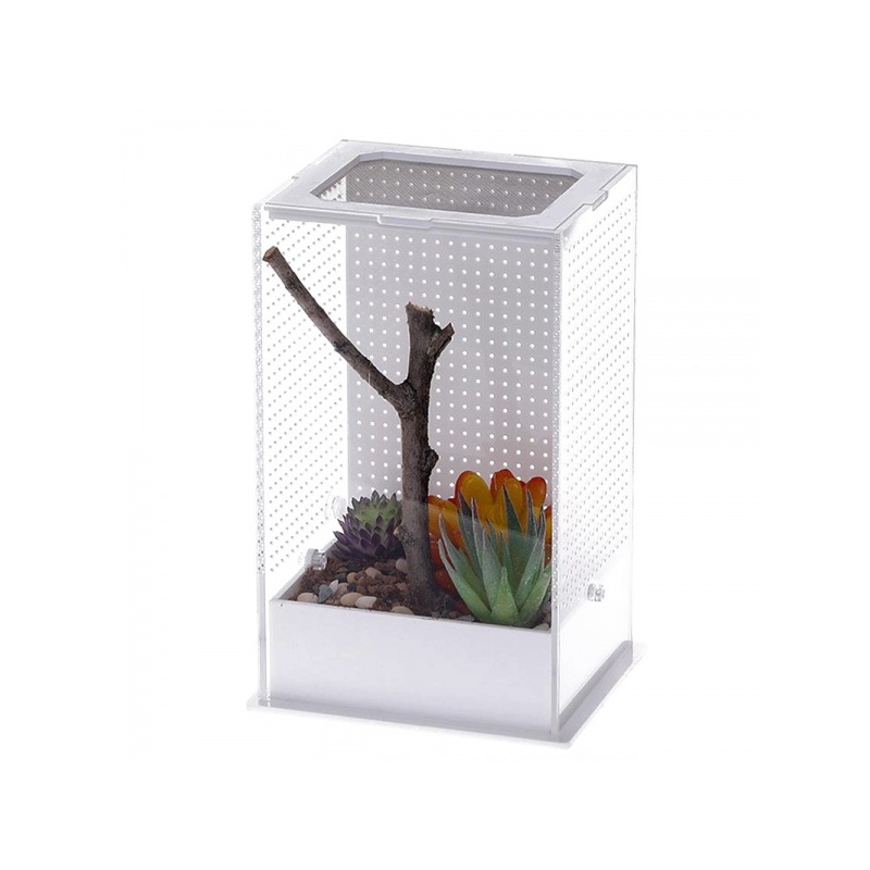 repti-zoo-mantis-box-l-t-10.jpg