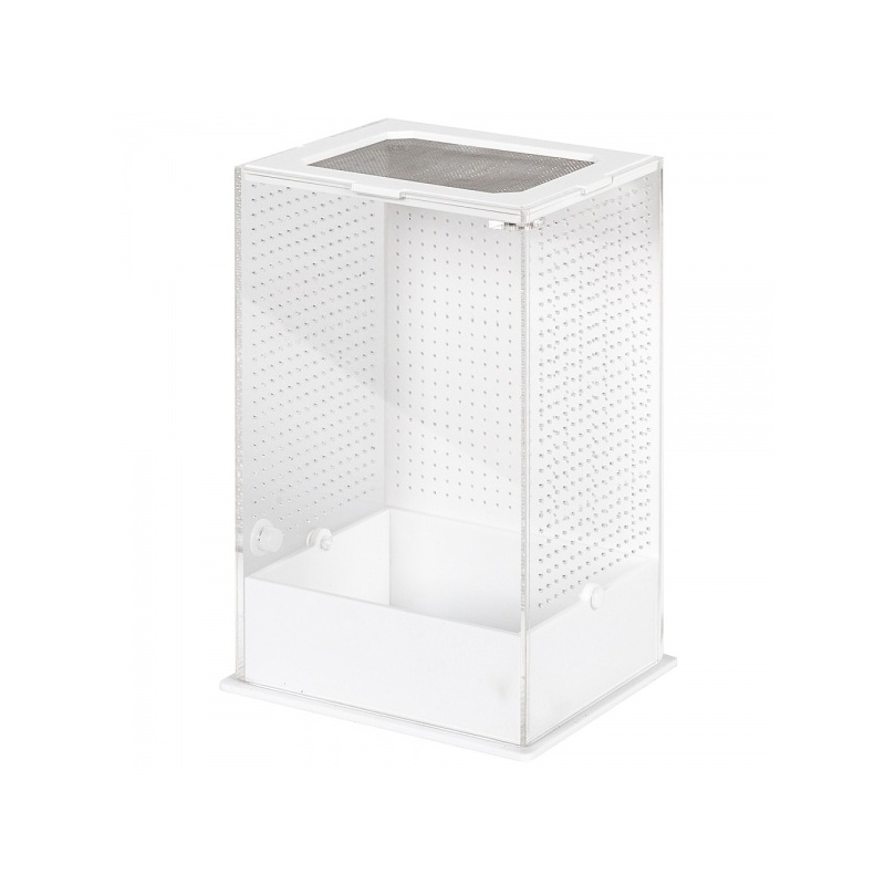 repti-zoo-mantis-box-l-t-17.jpg